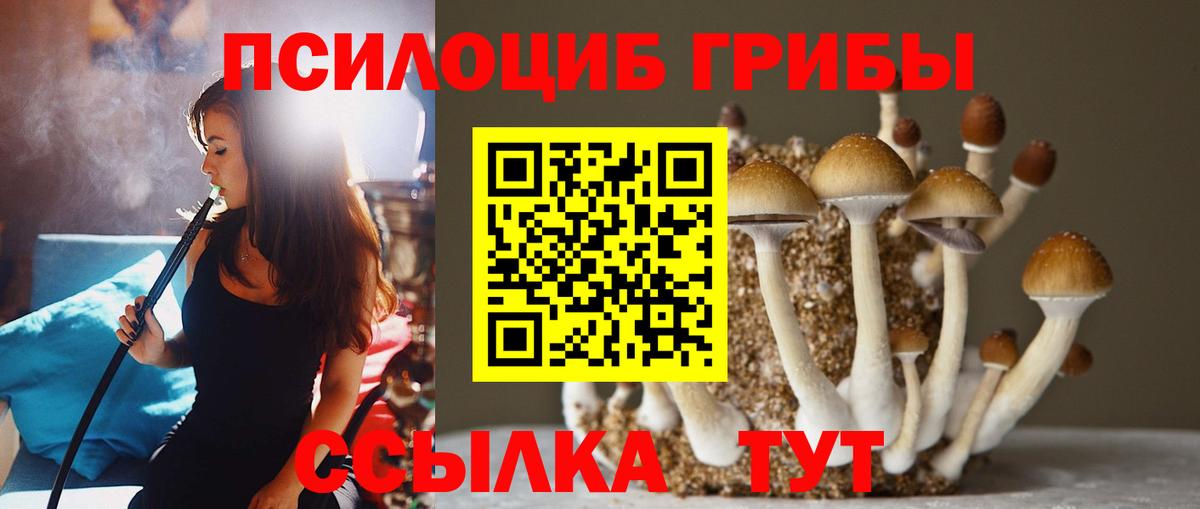 Советск  Галлюциногенные грибы Cubensis  Псилоцибиновые грибы мухоморы  Вход с VPN 